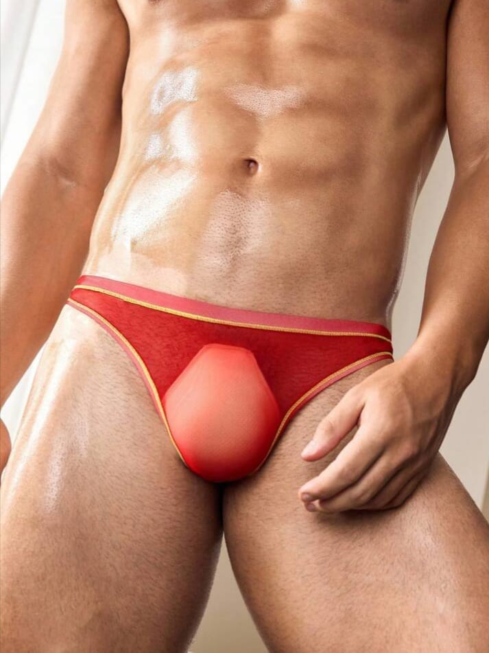 Crimson Sheer Contour Bikini Brief